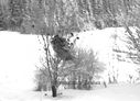 160_kortti2011f_pienennetty.jpg